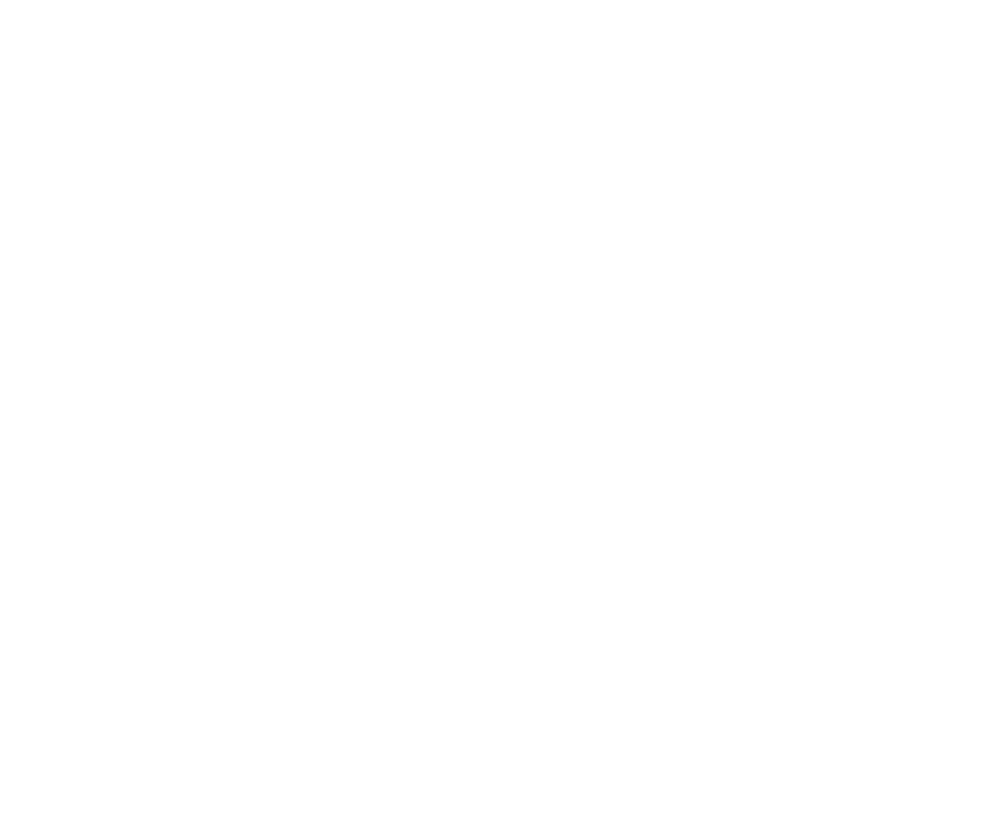 Castore